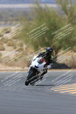 media/May-14-2023-SoCal Trackdays (Sun) [[024eb53b40]]/Turn 5 Tree of Life (1125am)/